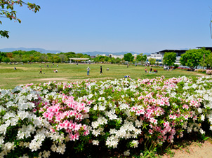 春の梅小路公園