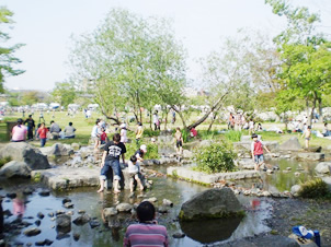 夏の梅小路公園