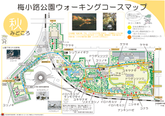梅小路公園ウォーキングマップ＜秋＞のみどころ