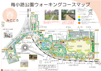 梅小路公園ウォーキングマップ＜春＞のみどころ