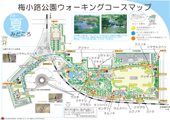 梅小路公園ウォーキングマップ＜夏＞のみどころ