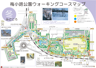 梅小路公園ウォーキングマップ＜冬＞のみどころ