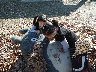 DSCF0809.jpg
