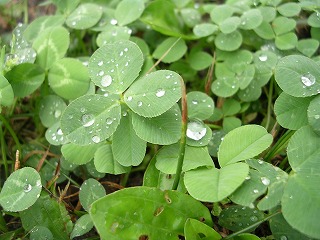 DSCN1533.jpg
