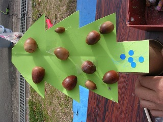 DSCN1572.jpg