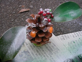 DSCN1593.jpg