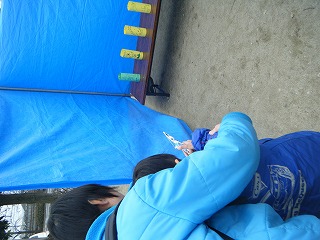 DSCF4694.jpg