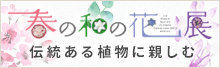 春の和の花展2019