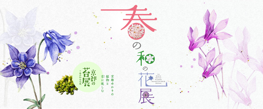 春の和の花展2019