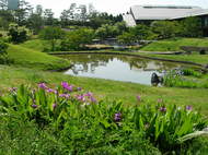 「日本庭園の歴史を学ぶ講座」の参加者募集について