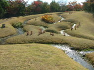 梅小路公園「紅葉まつり」の開催について
