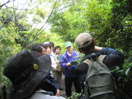 梅小路公園自然観察会を開催しています
