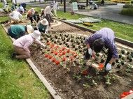 花壇づくり講習会（全７回）の参加者を募集しています