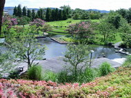 文化講座「緑の文化」を学ぶ～華道と日本庭園のかかわり～（笹岡隆甫氏）（12月10日）のお知らせ