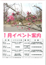 1月イベント情報をアップしました