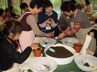 「正月の寄せ植え（松竹梅）教室」（12月19日）：参加者募集