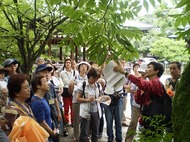 みどりの散策ツアー：右京区太秦コース（12月19日）　参加者募集のイメージ