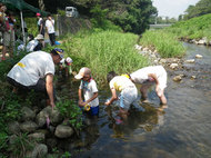 夏休みわんぱく自然教室「川であそぼう！水辺の探検・発見隊」（7月17日）募集中のイメージ