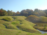 朱雀の庭の紅葉情報