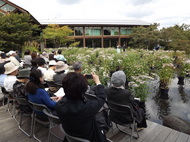 「藤袴と和の花展」は10日（月・祝）までの開催です