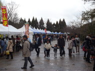 梅小路公園「にぎわい市」を開催しています。