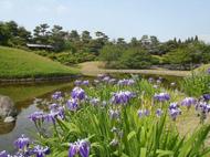 みどりの散策ツアー(西本願寺～梅小路公園周辺）を開催します（5月27日）のイメージ