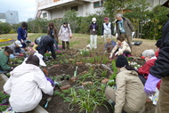 花壇づくり講習会（前期）（5/26～）の参加者を募集しますのイメージ