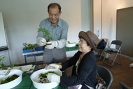 「ニホンサクラソウを育てよう（4/21）」 ―春の和の花展 企画―