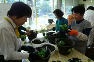 園芸講習会（10月18日から全４回）の参加者募集のイメージ