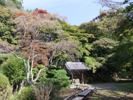 みどりの散策ツアー（大原野編）を開催します（11月23日）