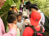 梅小路子ども自然観察会（子ども緑の学校）を開催します（12月1日～）