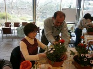 「季節の園芸教室」（3月20日）の参加者を募集していますのイメージ