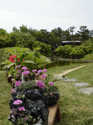 和の花展開催中です！のイメージ