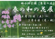 春の和の花展を開催します（4月20日～5月6日）