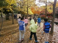 梅小路 子ども自然観察会 （子ども緑の学校） を開催します。