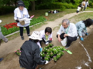 花壇づくり講習会　募集のごあんない（再掲）