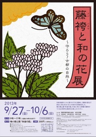 藤袴と和の花展を開催します（9月27日～10月6日）のイメージ