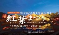 紅葉まつり（ライトアップ）を開催します。（11月22日～24日）