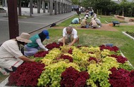 花を触りながら学ぶ！花壇づくり講習会（後期）の参加者を募集します