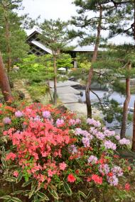 NHK 『ハイビジョン特集 日本・庭の物語』 で朱雀の庭が紹介されます。のイメージ