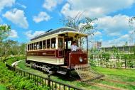 今年も夏休み期間中　チンチン電車運行しています。のイメージ