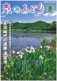 「京のみどり」（夏）91号を発行いたしました。のイメージ