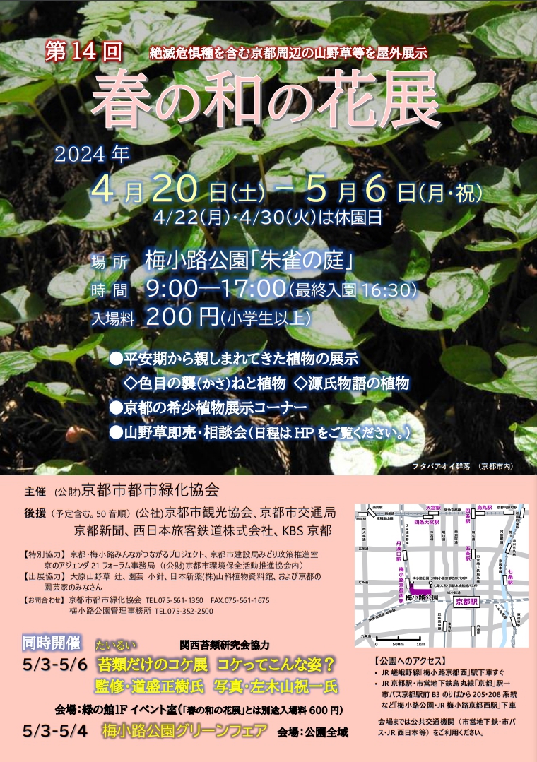 https://www.kyoto-ga.jp/event/01_front_flyer_20240420.11.28.jpg