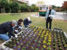 花壇で学ぶ みどりのデザイン教室（前期）の参加者募集についてのイメージ