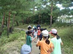 平成２７年度　梅小路子ども自然観察会を開催します（５月～１０月・全６回）のイメージ