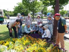 花壇で学ぶ みどりのデザイン教室（後期）のイメージ