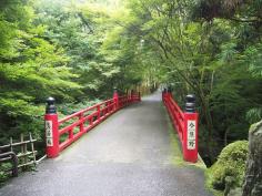みどりの散策ツアー（今熊野～泉涌寺エリア）のイメージ