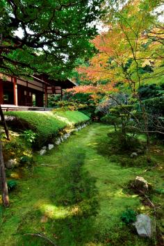 京の庭めぐり～第6回　妙心寺塔頭（桂春院・大法院）～のイメージ