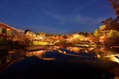 梅小路公園　紅葉まつり （11/19～29）のイメージ