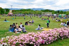 梅小路公園グリーンフェア2019春のイメージ